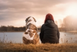 Dog Grooming At Home: Free Guide