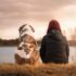 Top 10 Questions on Training Dogs: Expert Guide